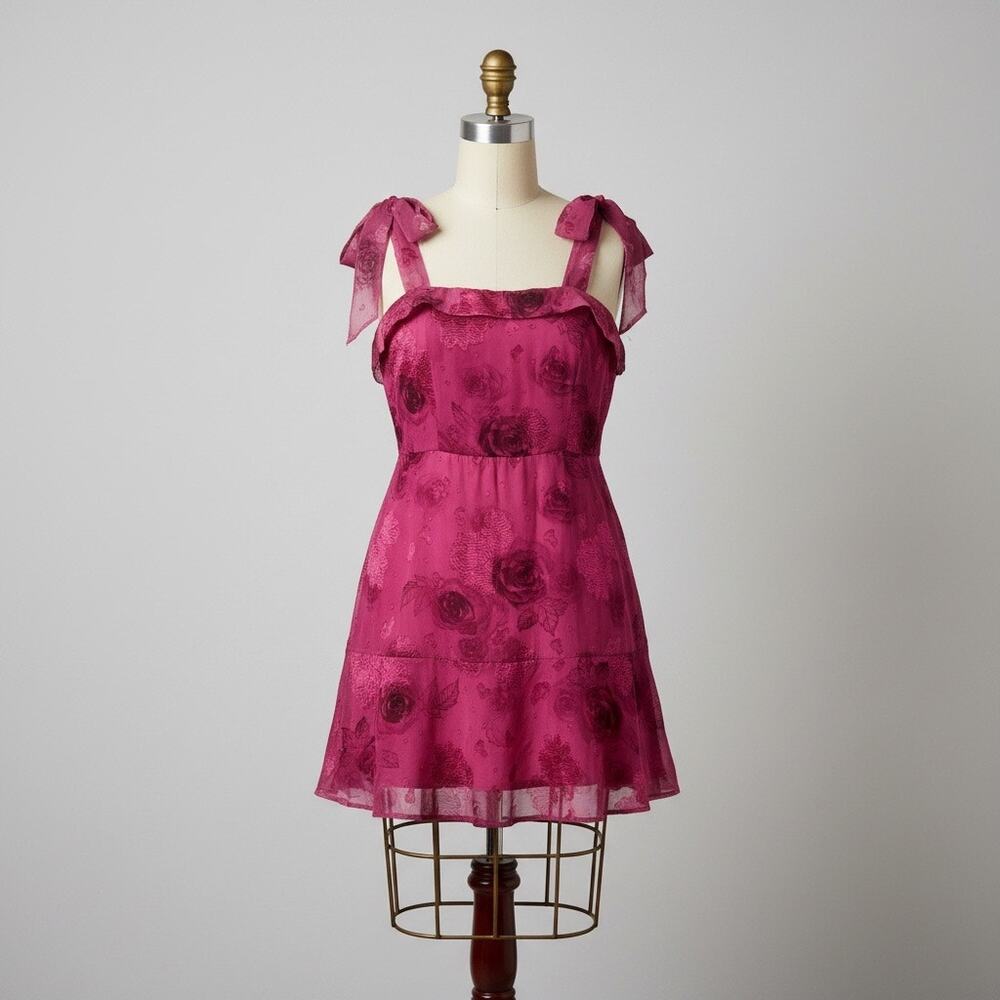 Hello Molly M Pink Rose Chiffon Mini Dress Y2K Coquette Floral Babydoll NWT